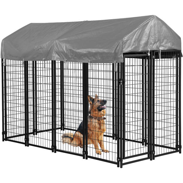 Tucker Murphy Pet™ Hanish 18.33 Square Feet Chicken Coop with Chicken